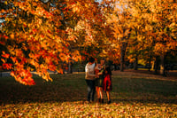 Image 3 of 10-26-25 Mini Session Deposit