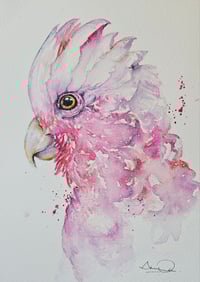 Image 1 of Pretty in Pink