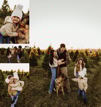 Image 1 of 11/9 CHRISTMAS ON THE FARM- 