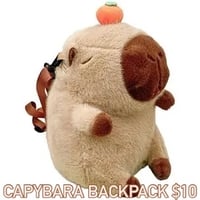 Image 2 of CARYBARA BACKPACK