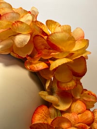 Image 3 of Orange/yellow flower halo