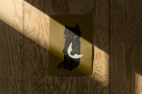 Image 2 of Poster -  MOONLOVER