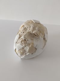 Image 3 of Shukri - Cabeza de Jericó I