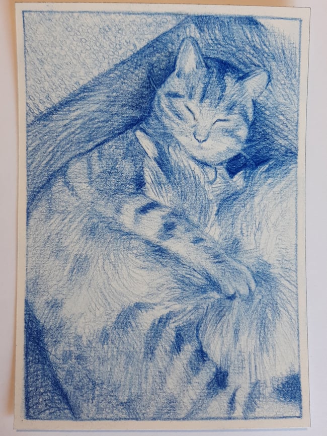 Made to order - Cat portraits - pencil originals