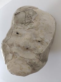 Image 1 of Antara - Cabeza de Jericó V