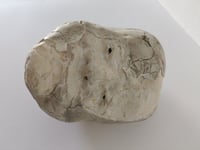 Image 2 of Antara - Cabeza de Jericó V