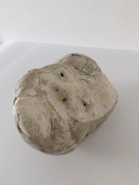 Image 3 of Antara - Cabeza de Jericó V