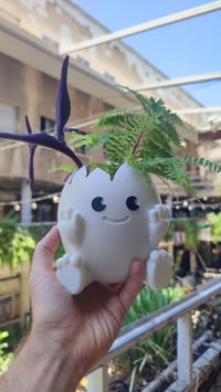 Image 4 of 🥚🌱 Crack Into Cuteness with Our Adorable Egg Planter! 🌱🥚