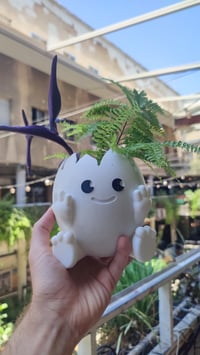Image 10 of 🥚🌱 Crack Into Cuteness with Our Adorable Egg Planter! 🌱🥚