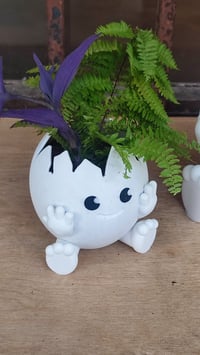 Image 18 of 🥚🌱 Crack Into Cuteness with Our Adorable Egg Planter! 🌱🥚