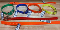 Omnipet 1" Sunglo Dog Collar (various lengths) with custom name plate