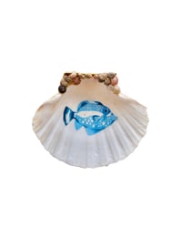 Playa de Rodas Trinket Shell