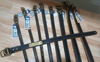 Heavy Duty Deer Tan Collars with custom name plate