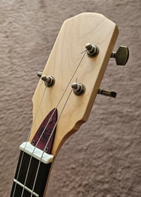 Image 3 of El Borrico