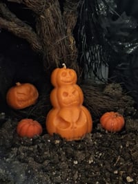 Image 1 of Pumpkins