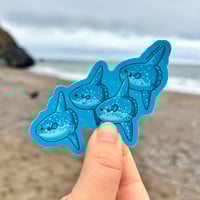 Image 1 of Ocean Sunfish Sticker