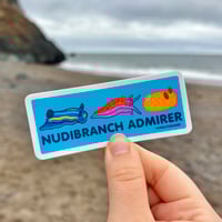 Image 1 of Nudibranch Admirer Sticker