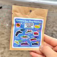 Image 2 of Mystery Mini Sea Slug Acrylic Keychain