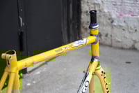Image 4 of Colnago Master Light - Yellow, 58cm