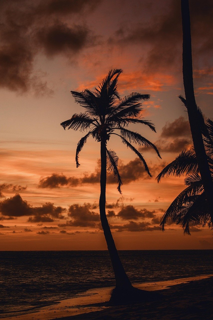 Sunset metal print