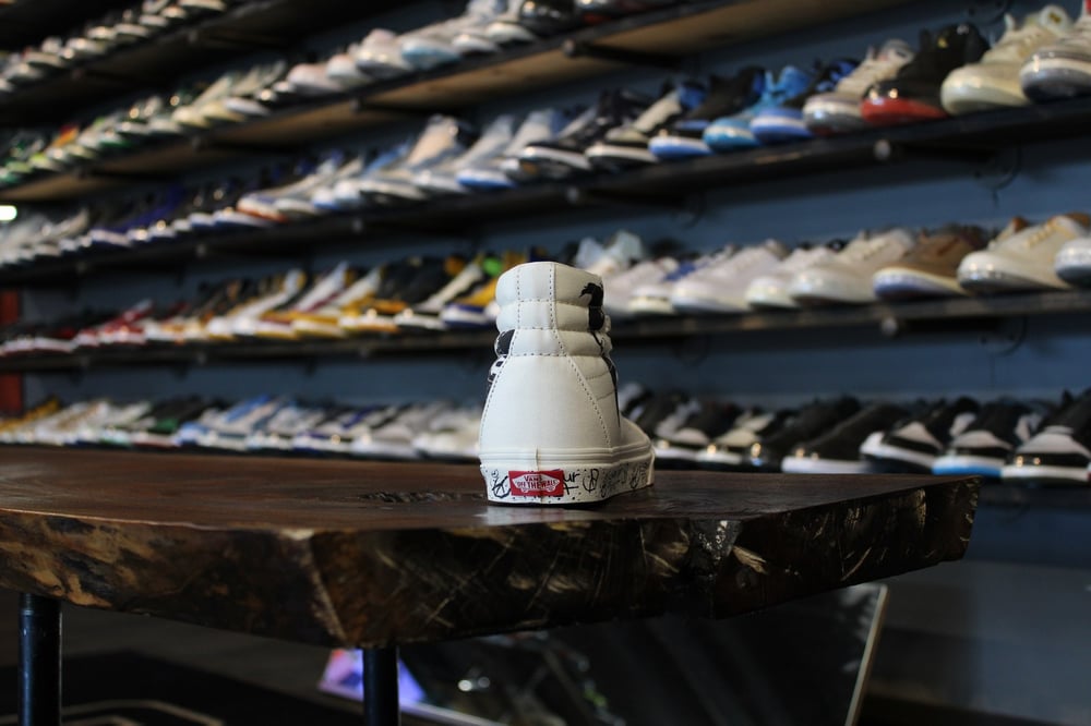 VANS SK8-HI REISSUE "SAVE OUR PLANET"