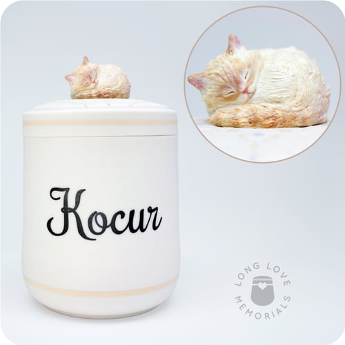 Image of Orange Tabby Cat Urn, Custom Made For Your Orange Cat