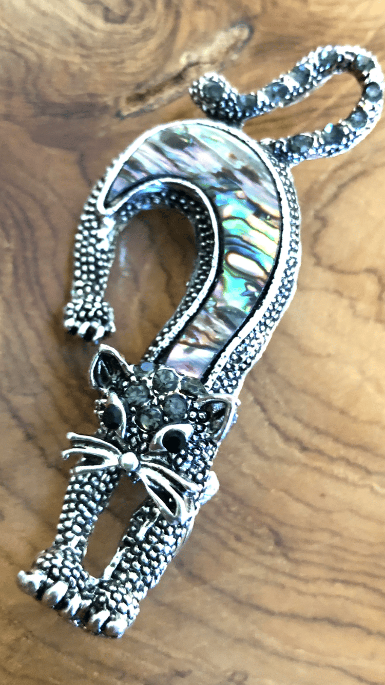 Image of Pua Cat Brooch