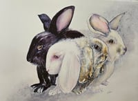 Image 4 of Pet Portraits - commissions
