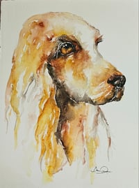 Image 1 of Pet Portraits - commissions