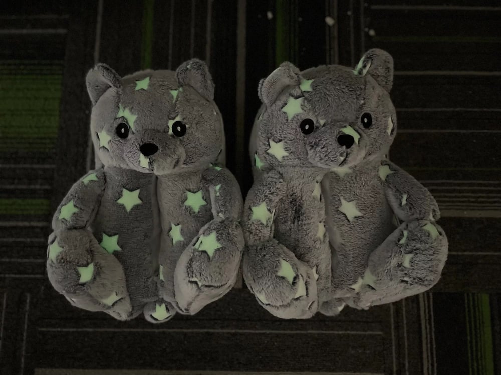 Teddy Bear Slippers 🧸 ✨