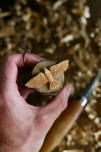 Image 5 of  Raven Pendant Necklace