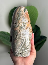 Image 6 of PEACHY GREEN VEINLESS OCEAN JASPER FREEFORM -MADAGASCAR-