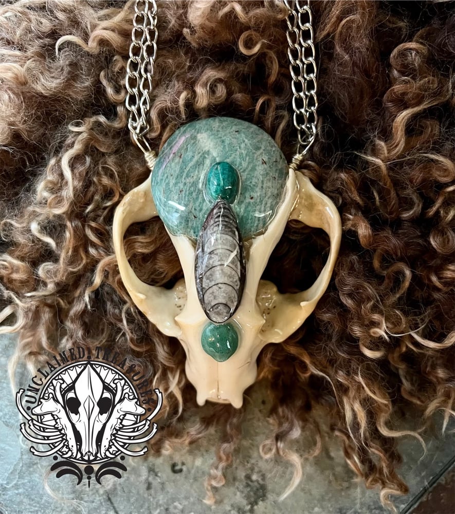 Image of Partial Raccoon Skull Statement Necklace w/ Amazonite, Chrysocolla, Orthoceras, & Aventurine accents
