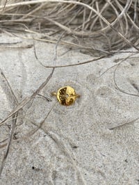 Image 2 of Rising Star Ring