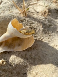 Image 1 of Celestial Ring