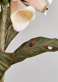 Image 2 of Paper Flower Foxglove - Peach/ Pink