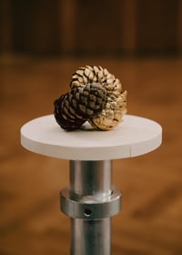 DAVID LUIS GRIMM: Zapfen/aus Augustusburger Walkie-Talkie [original object] 