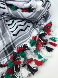 Image 4 of Palestinian Flag Colour Tassel Keffiyeh (made in Jordan)
