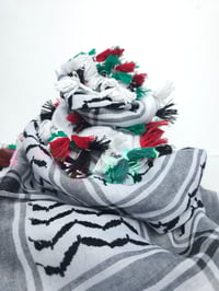 Image 5 of Palestinian Flag Colour Tassel Keffiyeh (made in Jordan)