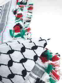 Image 7 of Palestinian Flag Colour Tassel Keffiyeh (made in Jordan)