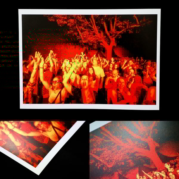 Image of CONVENANZA IV