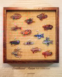 Image 1 of Southeast Asian fish acrylic keychains