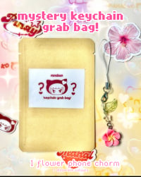 Image 2 of Mystery Keychain Grab Bag!