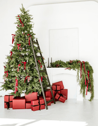 Image 1 of Christmas Minis November 16th at Que Studios (deposit)