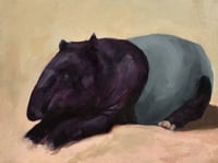 Image 1 of A Tapir Knows To Bury Its Secrets
