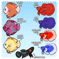 Image 3 of Aquarium Stickers