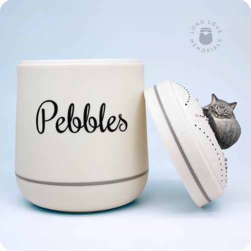 Image of Gray Tabby Cat Urn, Standard Issue Cat Urn, Personalized with Your Cat's Portrait