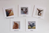 Image 2 of Mini Matted Prints 