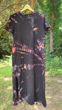 Image 2 of Light in the Darkness