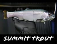 Image 1 of Immortal Trout “Summit Trout”